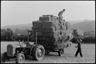 Lughnasadh