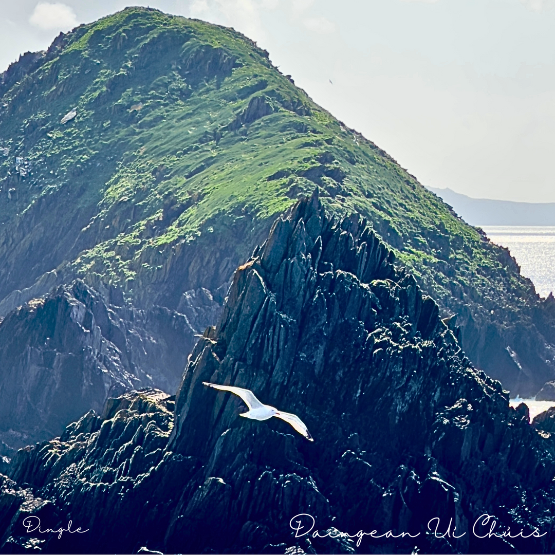 Dunmore Head Postcard – Dingle Eco Designs 🌊🏞️

Capture the breathtaking beauty of Dunmore Head, one of the most scenic spots on the Dingle Peninsula, with this stunning postcard. Featuring dramatic cliffs, the rolling Atlantic waves, and a splash of natural splendor, this postcard is a perfect memento of your visit to Dingle’s rugged coastline.

Product Highlights:

Vibrant Design: A beautifully detailed representation of Dunmore Head’s iconic landscape.
Eco-Friendly: Crafted from recycled materials, hon