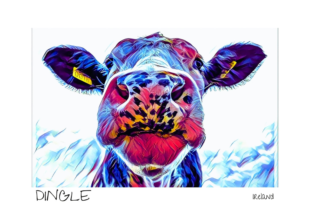 Cow - Postcard