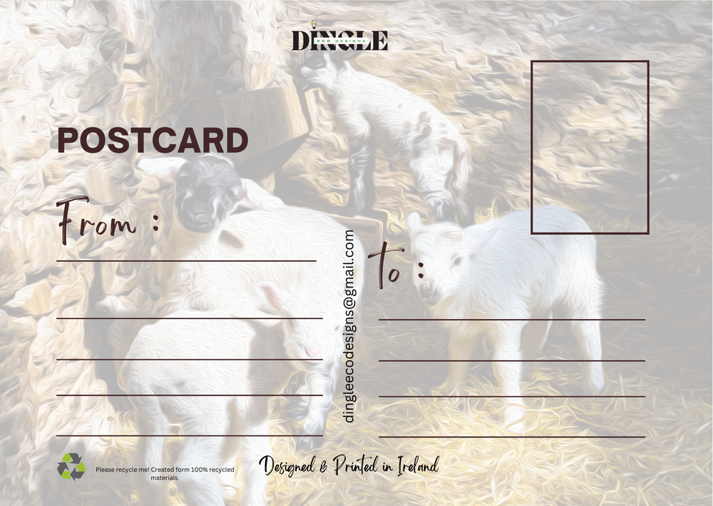 Whether you're sending a note to a friend or keeping a memento from the Dingle Peninsula, this playful postcard of three mischievous lambs is a reminder of the carefree charm of Dingle 🐑.

It’s more than just a postcard – it’s a piece of eco-friendly Irish art that captures the essence of the Wild Atlantic Way.This playful design of mischievous lambs is the perfect gift for those who love sustainable gifts and the spirit of Dingle 🐑💚.