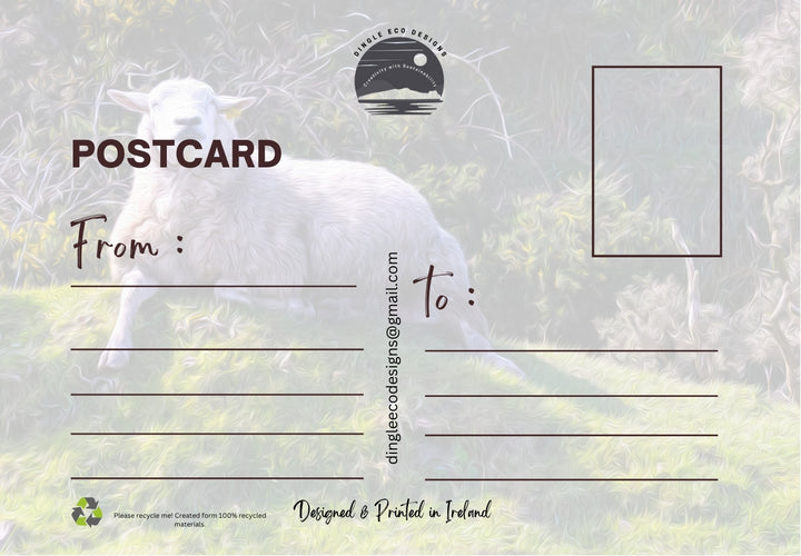 Postcard Special Offer