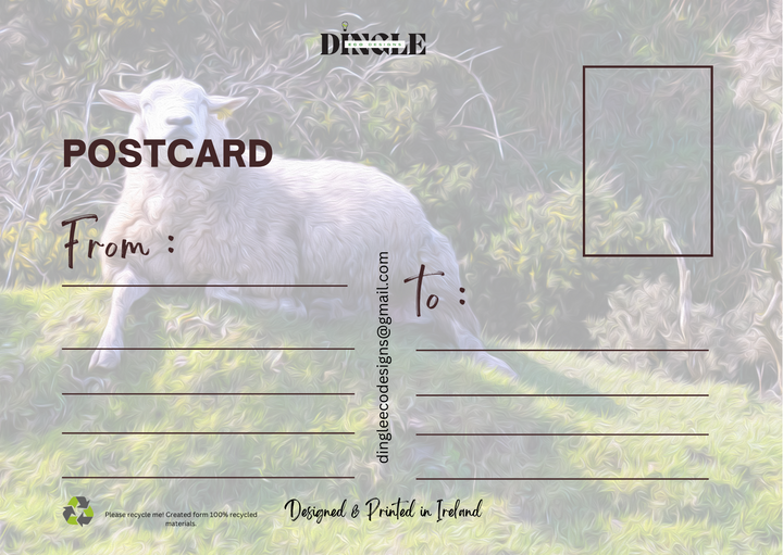 Sheep in the Sun Postcard – Slea Head Drive

Capture the serene charm of the Slea Head Drive with this postcard featuring a relaxed sheep basking in the sun atop a small grassy mound.

🌞 Scenic Design: Showcasing the natural beauty of Dingle’s iconic landscapes.
♻️ Eco-Friendly: Printed on recycled paper for sustainable keepsakes.
🇮🇪 Locally Inspired: Designed on the Dingle Peninsula, celebrating Irish heritage.

Perfect as a souvenir or gift, this postcard brings the peaceful essence of Dingle to life.