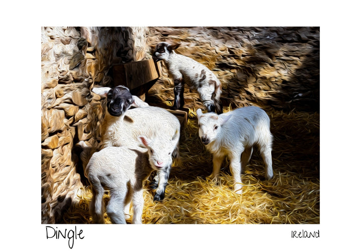 Postcard Special Offer