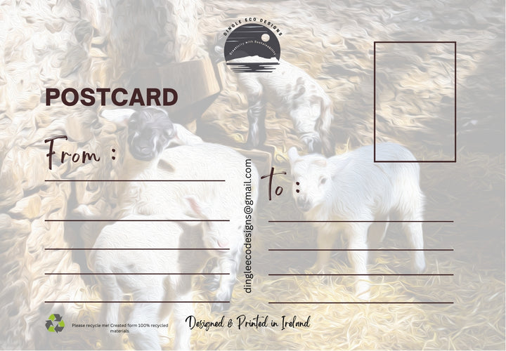 Postcard Special Offer