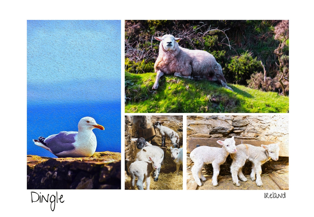 Postcard Special Offer