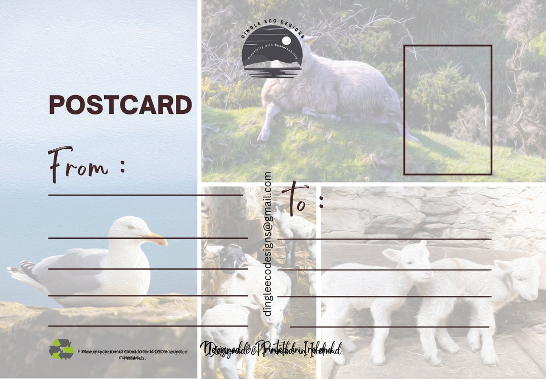 Postcard Special Offer