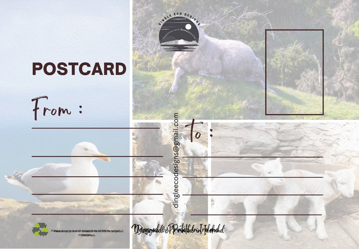 Postcard Special Offer