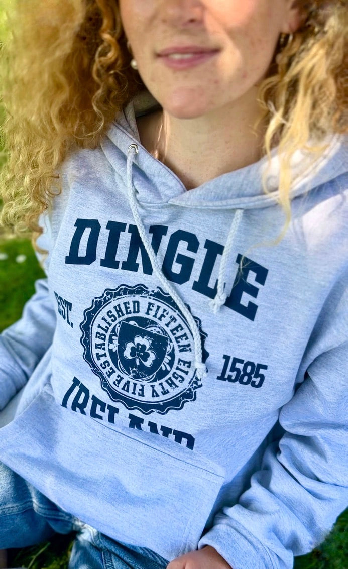 Funny Santa Hoodie