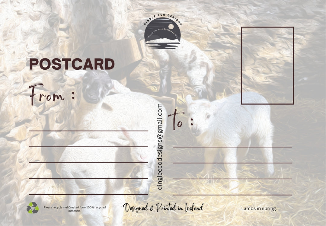 Postcard Special Offer